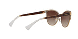 933613 - Gradient Brown