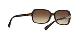 500113 - Havana - Brown Gradient