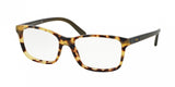 Polo 2142 Eyeglasses