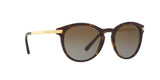 3106T5 - Havana - Brown Gradient Polarized