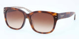 Coach 8086F Sunglasses