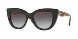 Valentino 4025 Sunglasses