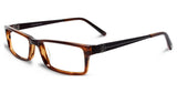 Jones New York J521BRO56 Eyeglasses