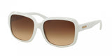 Coach L112 8141 Sunglasses