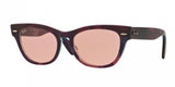 Ray Ban Laramie 4169 Sunglasses