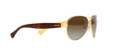 106/T5 - Gold - Brown Gradient Polarized