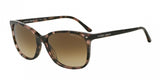 Giorgio Armani 8059 Sunglasses