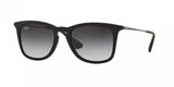 Ray Ban 4221 Sunglasses