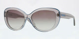 Donna Karan New York DKNY 4107 Sunglasses