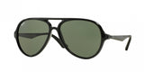 Ray Ban 4235 Sunglasses