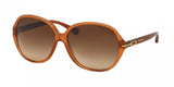 Coach L589 Bailey 8118F Sunglasses