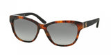 Polo 4093 Sunglasses