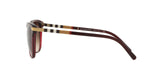 301413 - Bordeaux - Brown Gradient