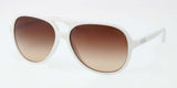 Coach 8073 Sunglasses