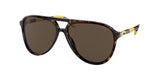 Polo 4173 Sunglasses