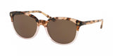 Tory Burch 7131 Sunglasses