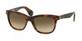 Ralph Lauren 8119W Sunglasses