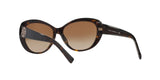 510/8 - Havana - Brown Gradient