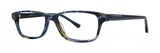 Vera Wang SAGATTA Eyeglasses