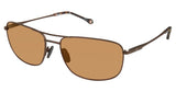 Champion CU6038 Sunglasses