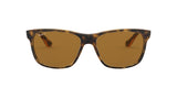 710/83 - Havana - Polar Brown