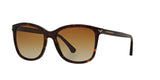 5026T5 - Havana - Polar Brown Gradient