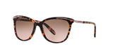 146114 - Pink - Brown Rose Gradient