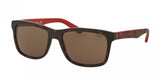 Polo 4098 Sunglasses