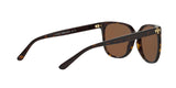 137883 - Havana - Brown Solid Polarized