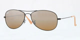 Ray Ban Cockpit 3362 Sunglasses