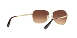 932213 - Light Gold - Brown Gradient