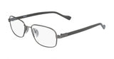 Flexon AUTOFLEX 117 Eyeglasses