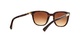 137813 - Havana - Brown Gradient