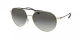 Michael Kors Antigua 1041 Sunglasses