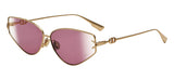 Dior Diorgipsy2 Sunglasses