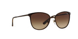 934S13 - Brown - Brown Gradient