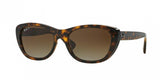 Ray Ban 4227 Sunglasses