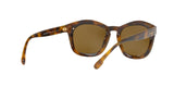 527673 - Havana - Brown