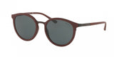 Polo 3104 Sunglasses