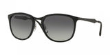 Ray Ban 4299 Sunglasses