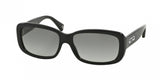 Coach 8042 Sunglasses