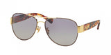 Coach L138 7059 Sunglasses