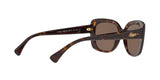 500373 - Shiny Dark Havana - Brown
