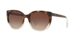 573513 - Gradient Brown