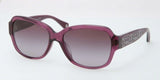 Coach L518 Pamela 8036F Sunglasses