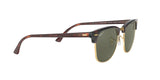 990/58 - Havana - Crystal Green Polarized