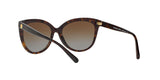 3006T5 - Havana - Brown Gradient Polarized