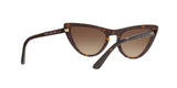 W65613 - Havana - Brown Gradient