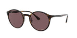 Ray Ban 4336CH Sunglasses