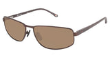 Champion CU6002 Sunglasses